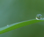 One drop, one blade - and perfect balance!