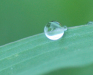 Me and my camera - in a drop!