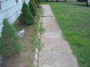 2005-08-22_19-43-290031