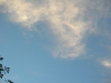 2005-08-22_19-44-380033