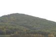 Landscape1_005