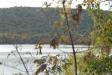 Landscape1_006