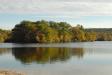 Landscape1_027