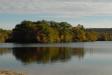 Landscape1_028
