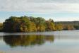 Landscape1_029
