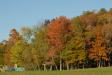 Landscape1_031