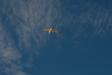 Landscape1_032