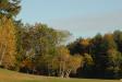 Landscape1_033