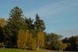 Landscape1_034