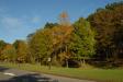 Landscape1_040