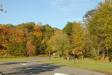Landscape1_041