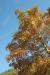 Landscape1_043