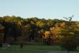 Landscape1_044