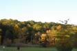 Landscape1_045
