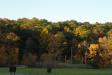 Landscape1_046