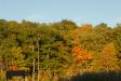 Landscape1_047