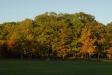 Landscape1_048