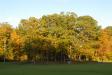 Landscape1_049