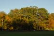 Landscape1_050