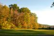 Landscape1_051
