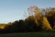 Landscape1_052