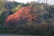 Landscape1_053