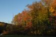 Landscape1_054