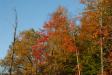 Landscape1_057