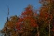 Landscape1_058