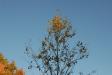 Landscape1_059
