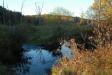 Landscape1_060