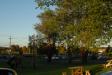Landscape1_062