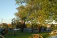 Landscape1_063