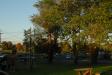 Landscape1_064