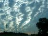 Landscape1_066