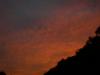 Landscape1_068