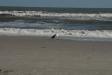 Landscape2_013