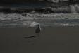 Landscape2_015
