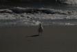 Landscape2_017