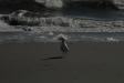 Landscape2_019