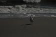 Landscape2_021