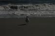 Landscape2_023
