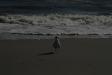 Landscape2_025