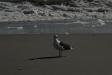 Landscape2_033