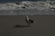 Landscape2_035