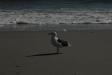 Landscape2_039
