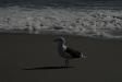 Landscape2_047