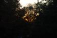 Landscape2_088