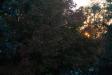 Landscape2_089
