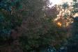 Landscape2_090